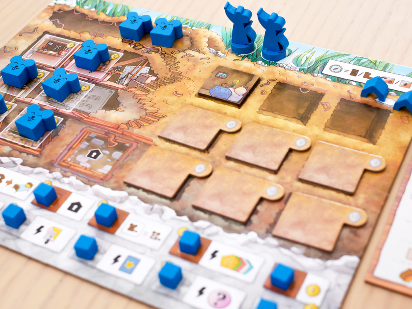 Ratas de Wistar - Juegos de mesa - Adani Store