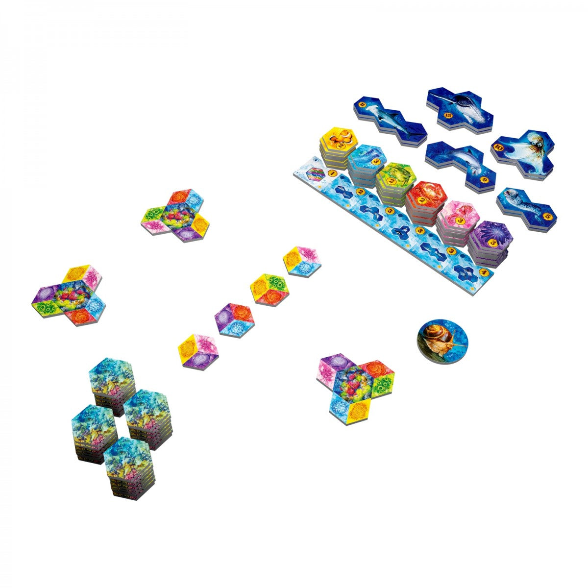 Aqua - Juegos de mesa - Adani Store