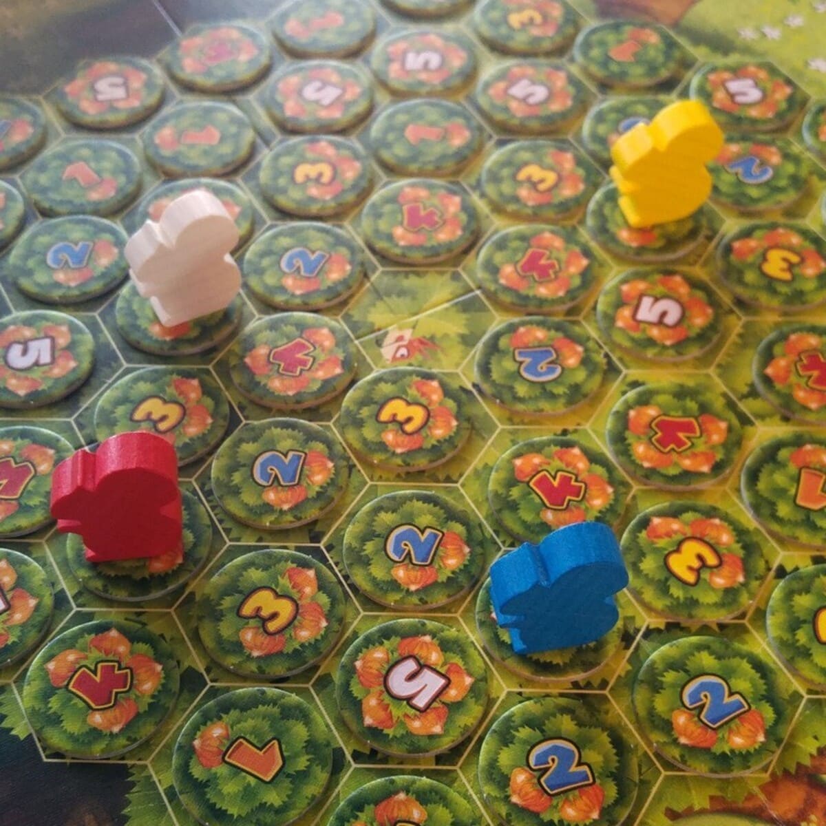 Ardillas Voladoras - Juegos de mesa - Adani Store