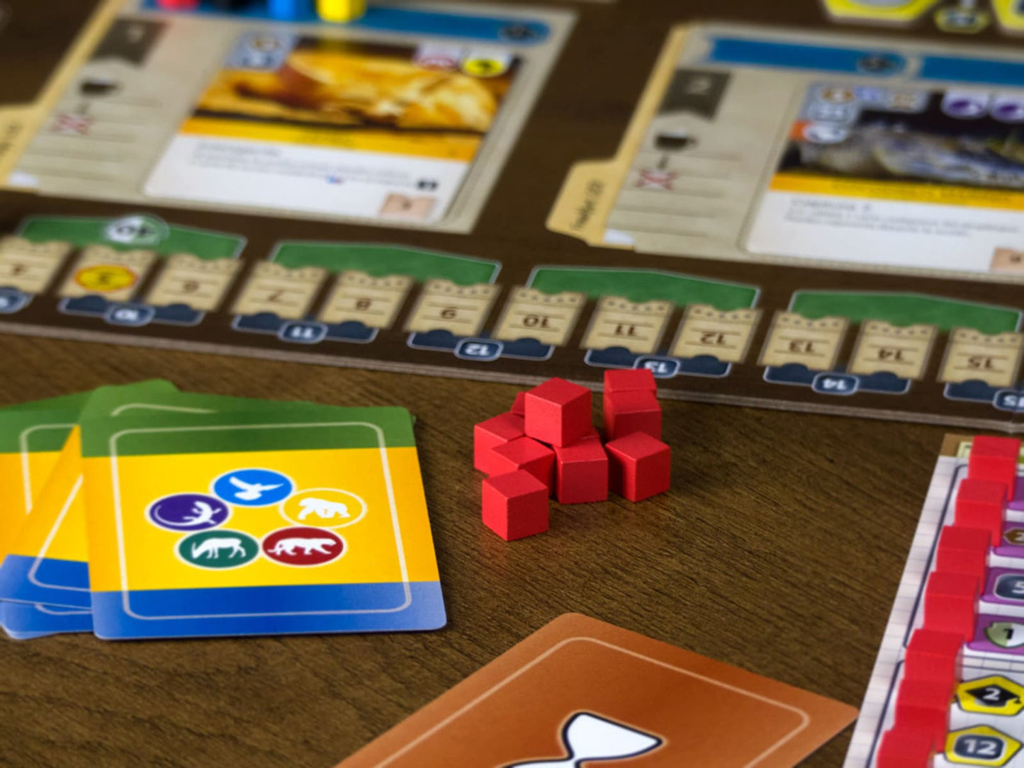 Ark Nova - Juegos de mesa - Adani Store