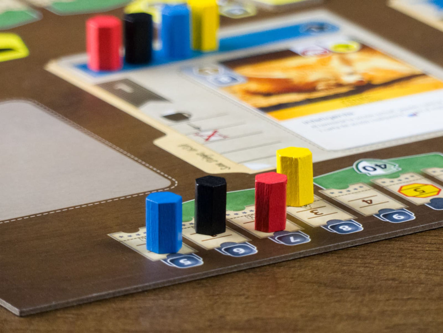 Ark Nova - Juegos de mesa - Adani Store