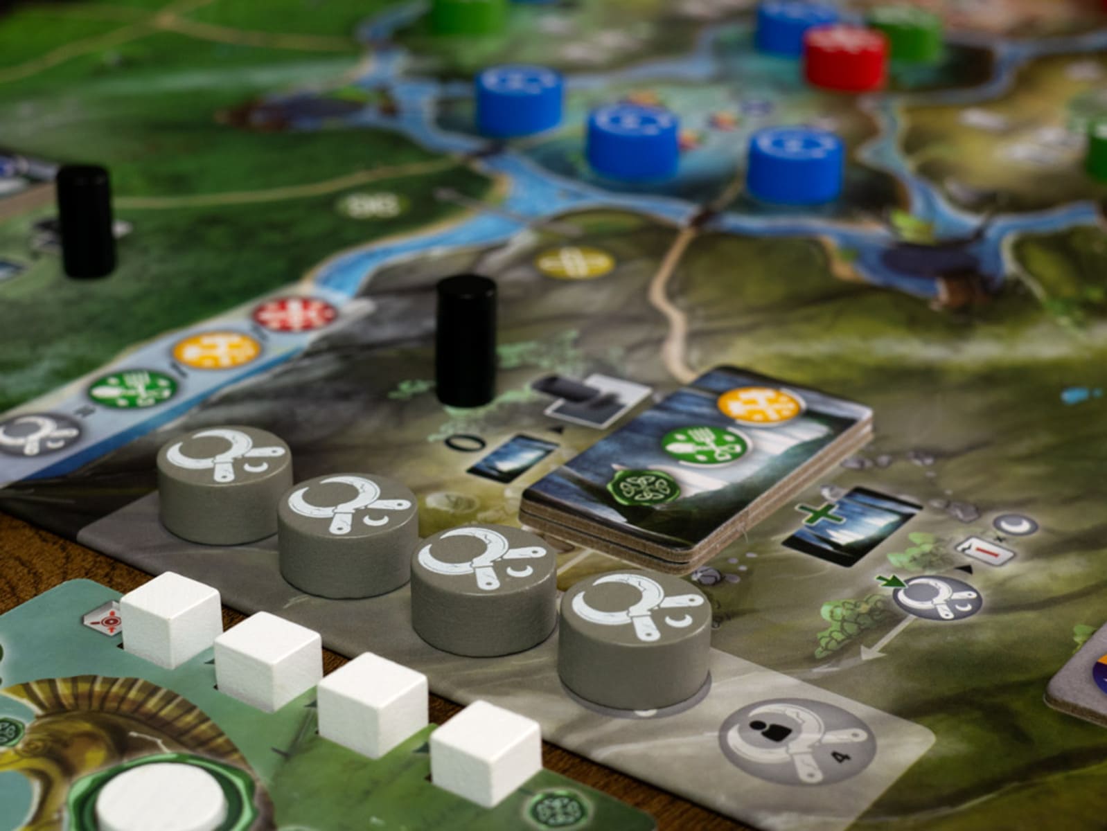 Celtae - Juegos de mesa - Adani Store