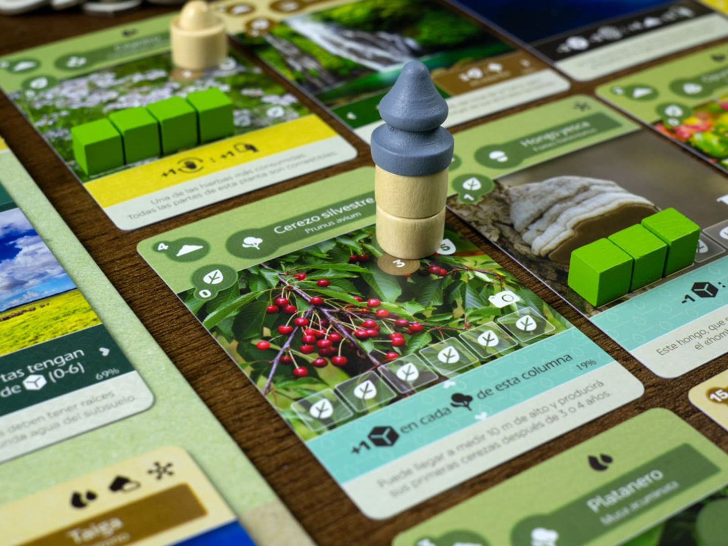 Earth - Juegos de mesa - Adani Store