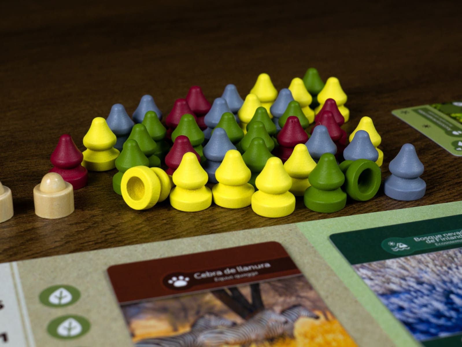 Earth - Juegos de mesa - Adani Store