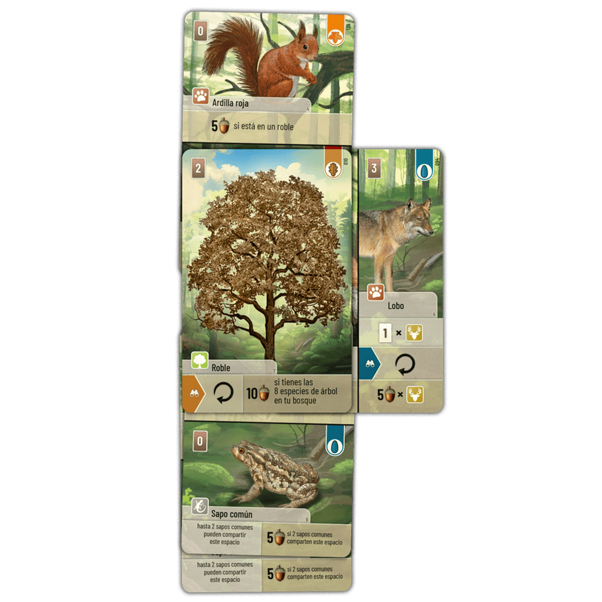 Forest Shuffle - Juegos de mesa - Adani Store