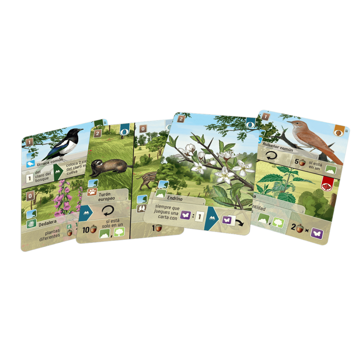 Forest Shuffle Linde del bosque - Juegos de mesa - Adani Store