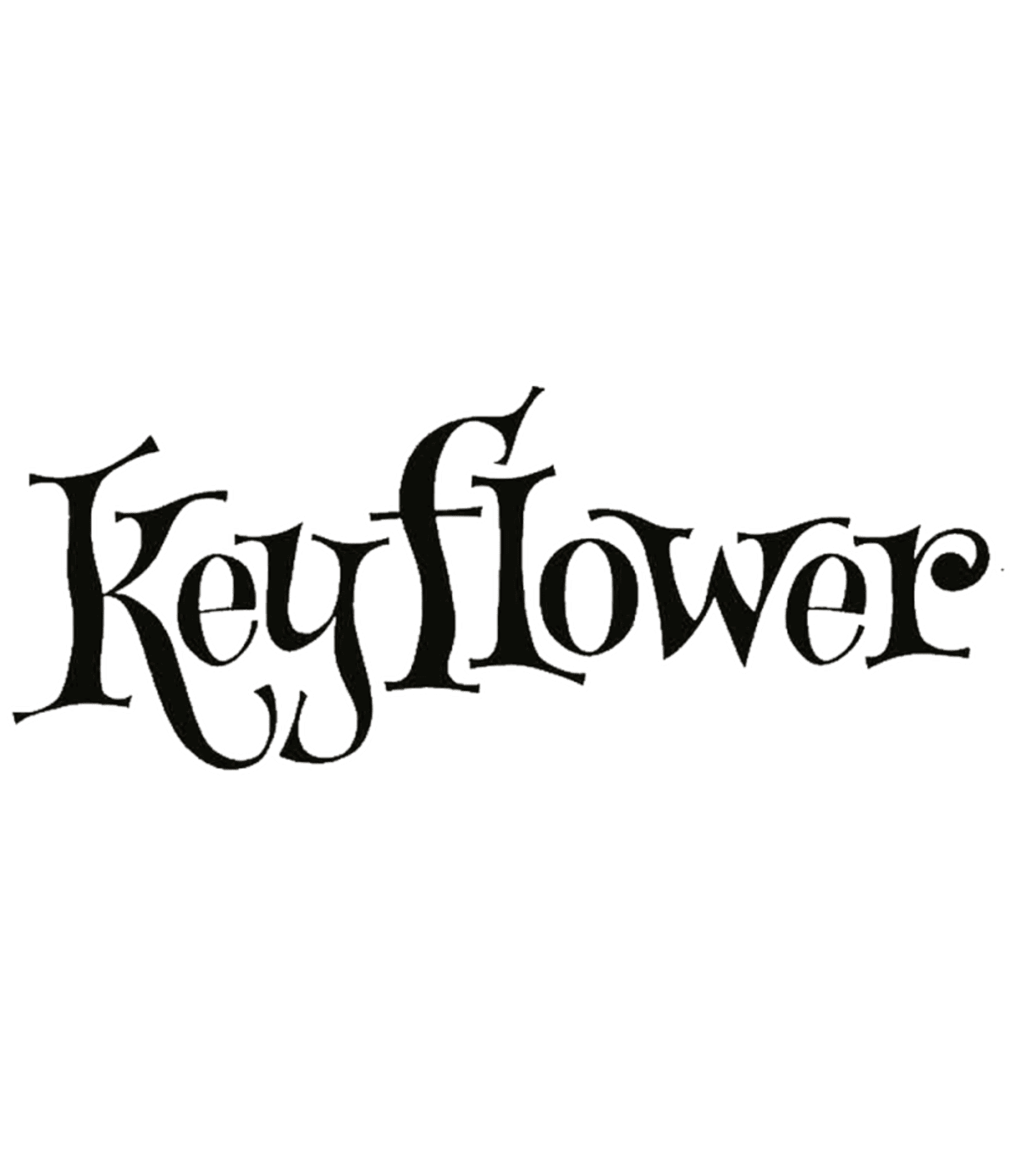 Keyflower - Juegos de mesa - Adani Store