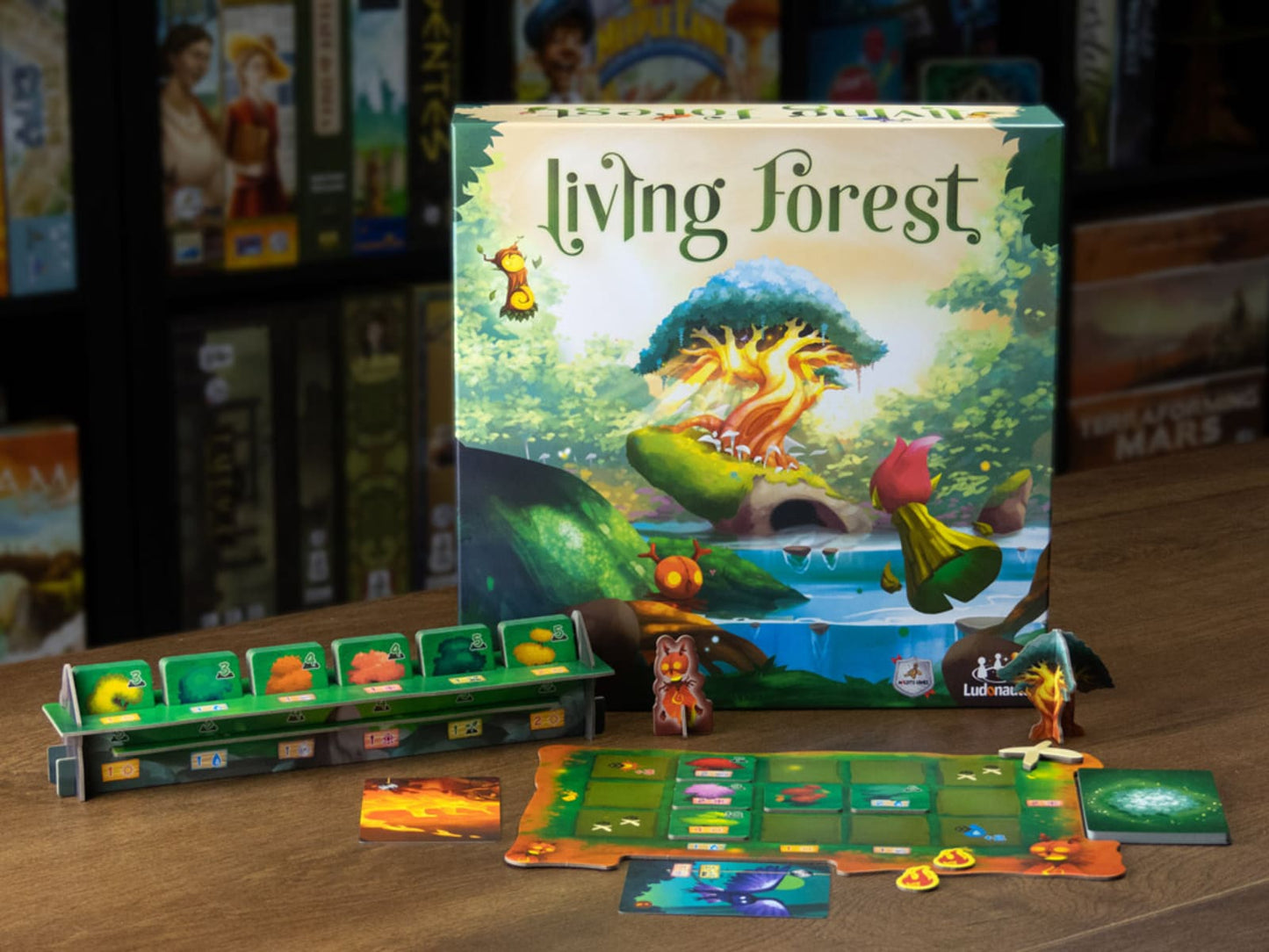 Living Forest - Juegos de mesa - Adani Store