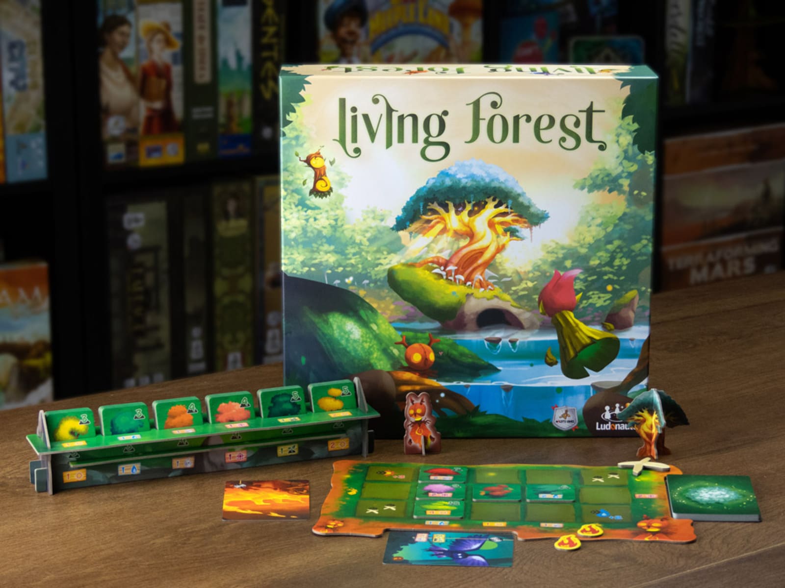 Living Forest - Juegos de mesa - Adani Store