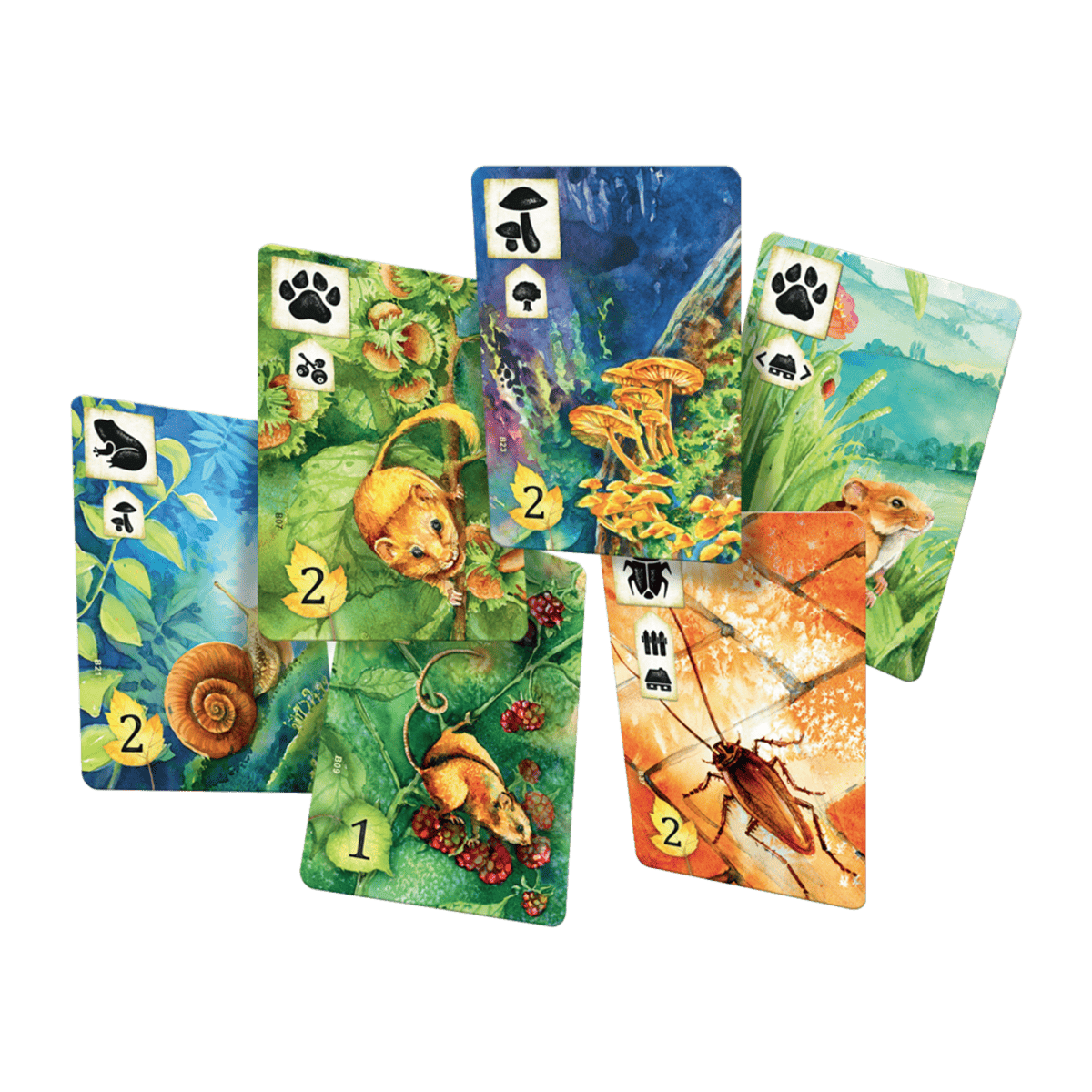 Pradera - Juegos de mesa - Adani Store