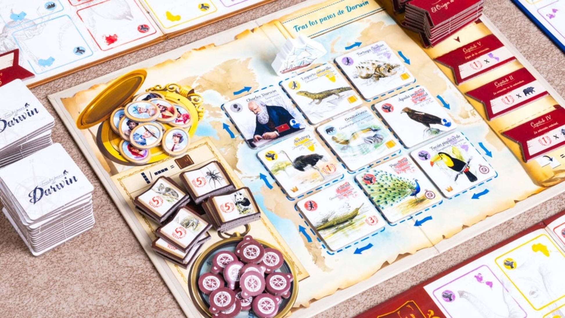 Tras los pasos de Darwin - Juegos de mesa - Adani Store