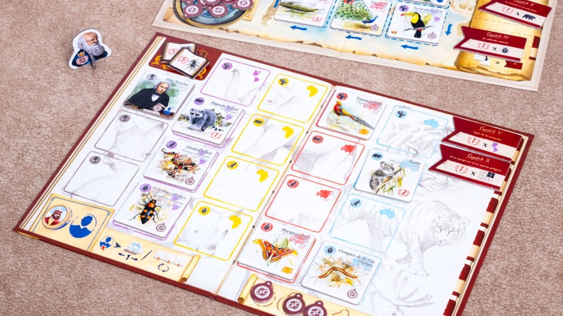 Tras los pasos de Darwin - Juegos de mesa - Adani Store