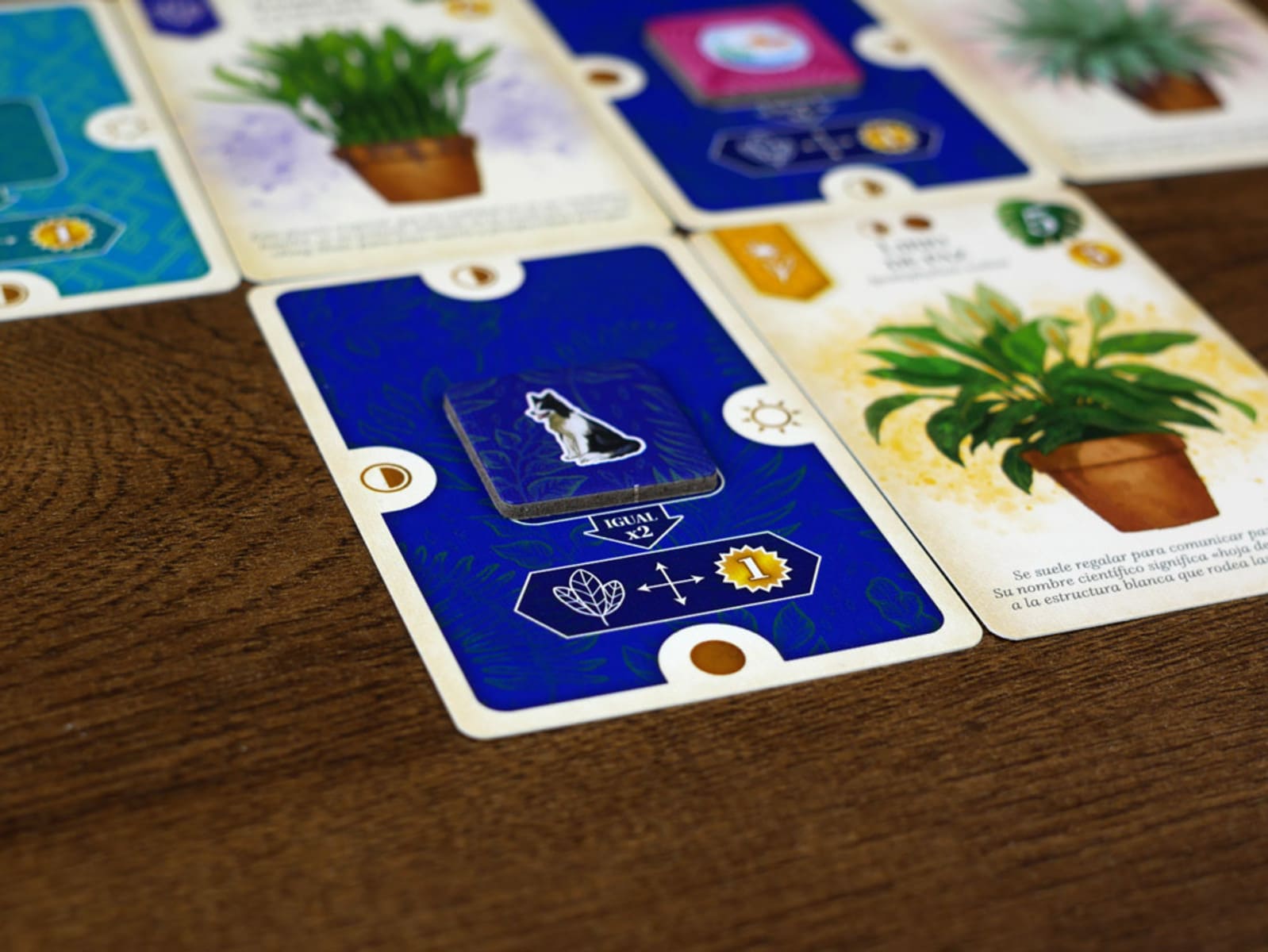 Verdant - Juegos de mesa - Adani Store