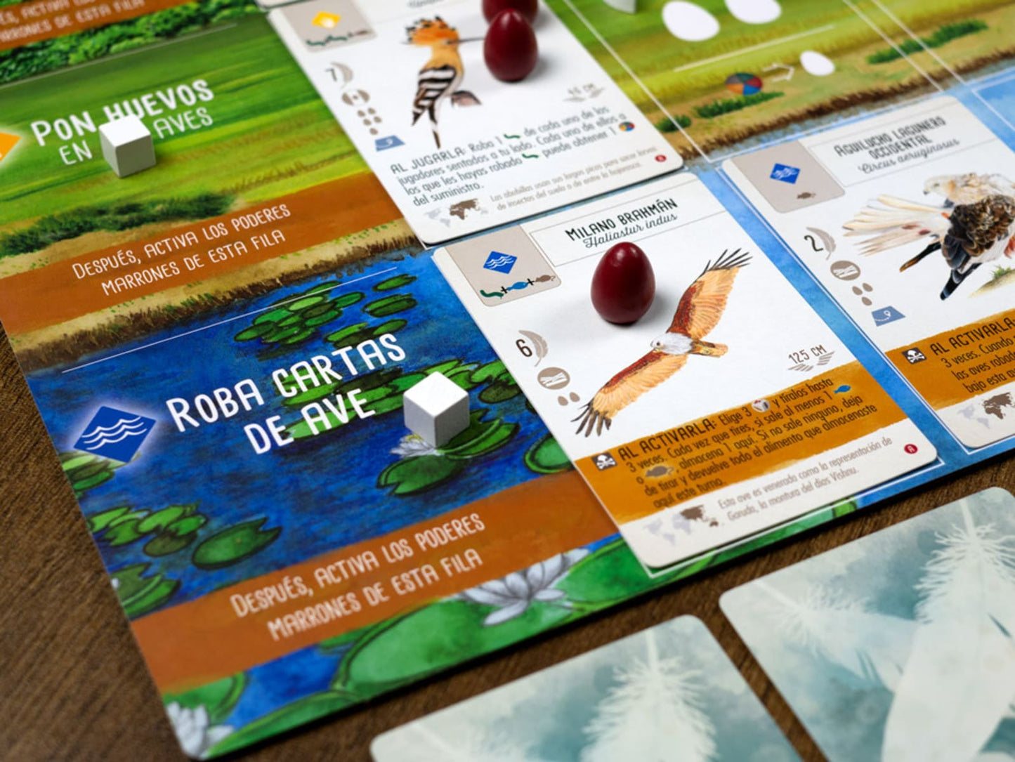 Wingspan Asia - Juegos de mesa - Adani Store