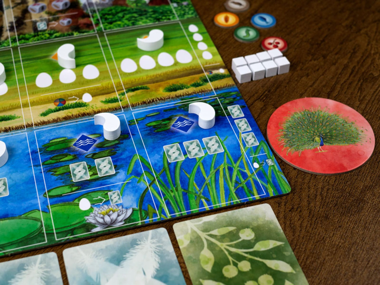 Wingspan Asia - Juegos de mesa - Adani Store