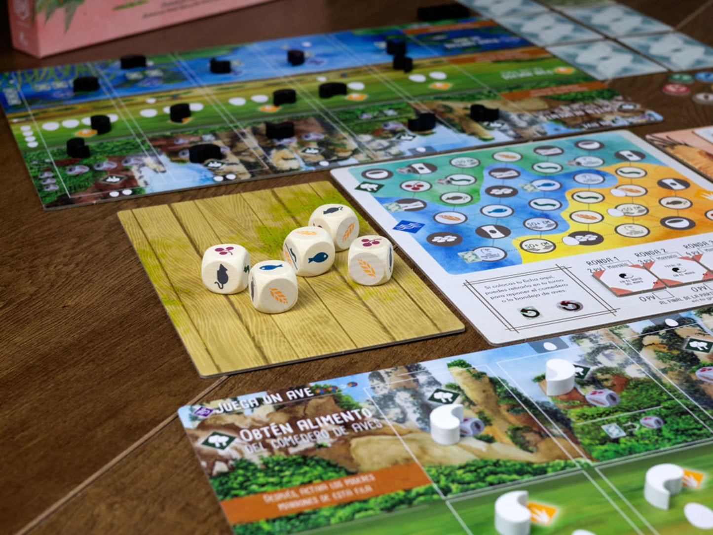 Wingspan Asia - Juegos de mesa - Adani Store