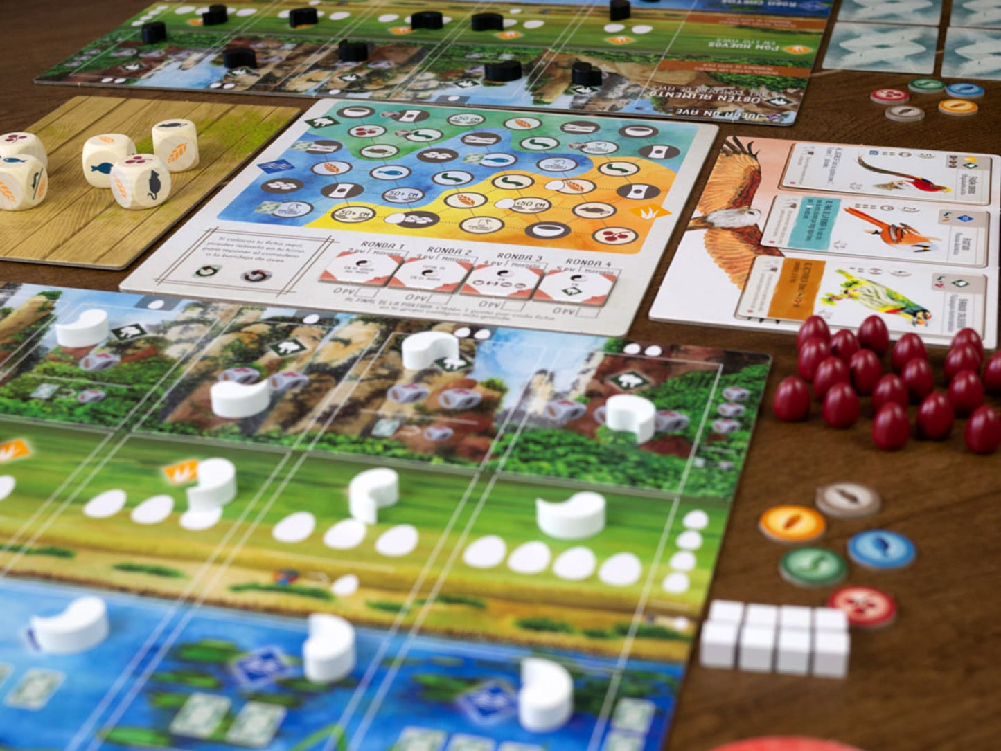 Wingspan Asia - Juegos de mesa - Adani Store