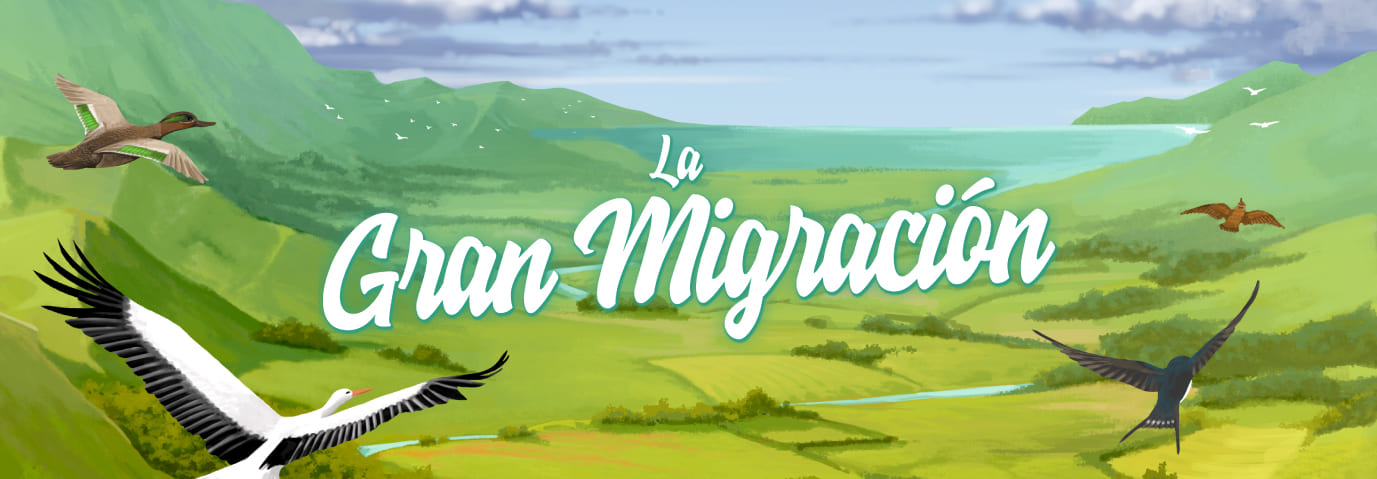 La gran migración - Juego de mesa - Adani Store