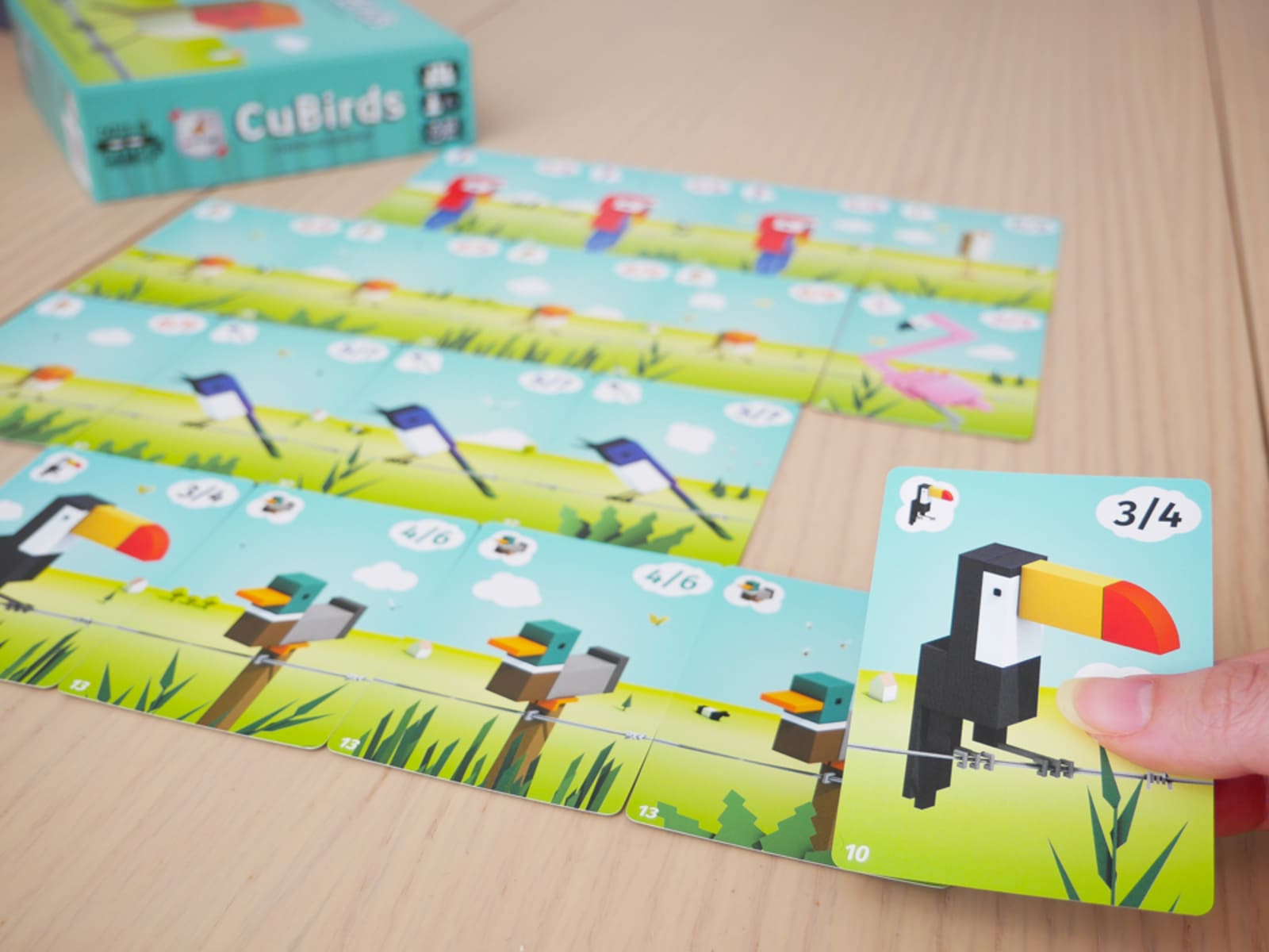 Cubirds - Juegos de mesa - Adani Store