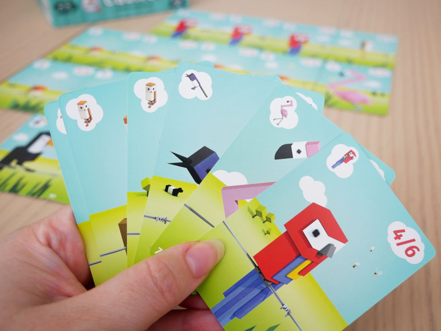Cubirds - Juegos de mesa - Adani Store