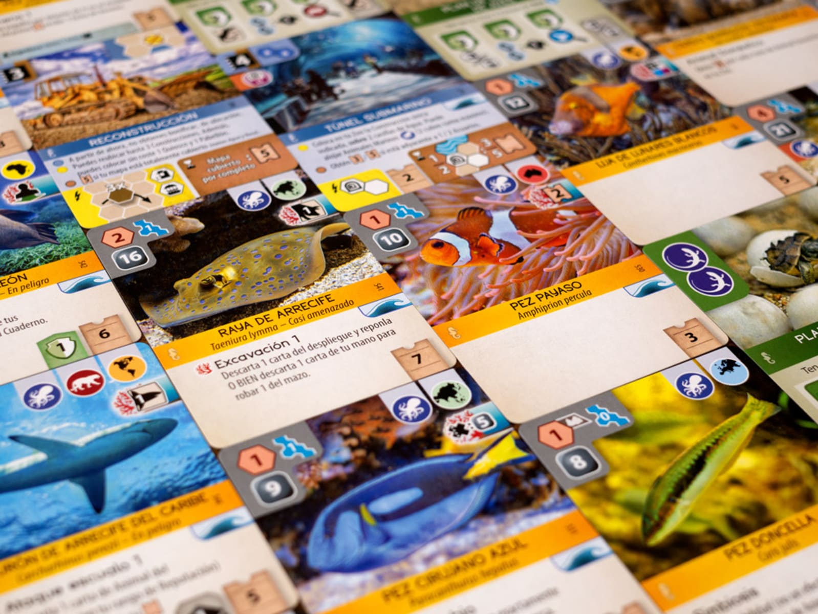 Ark Nova: Mundo Marino - Juegos de mesa - Adani Store