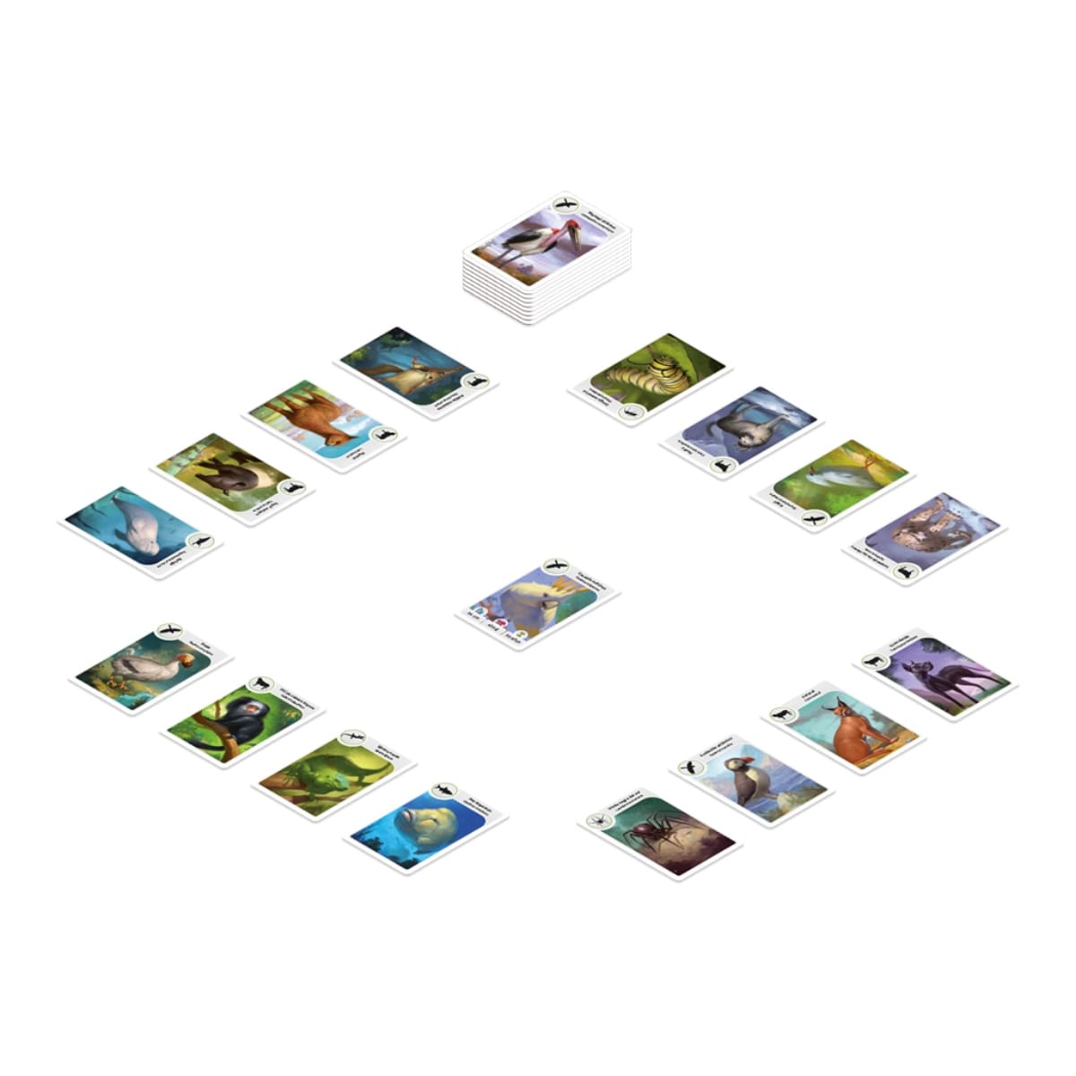 Cardline Animales 2 - Juegos de Mesa - Adani Store