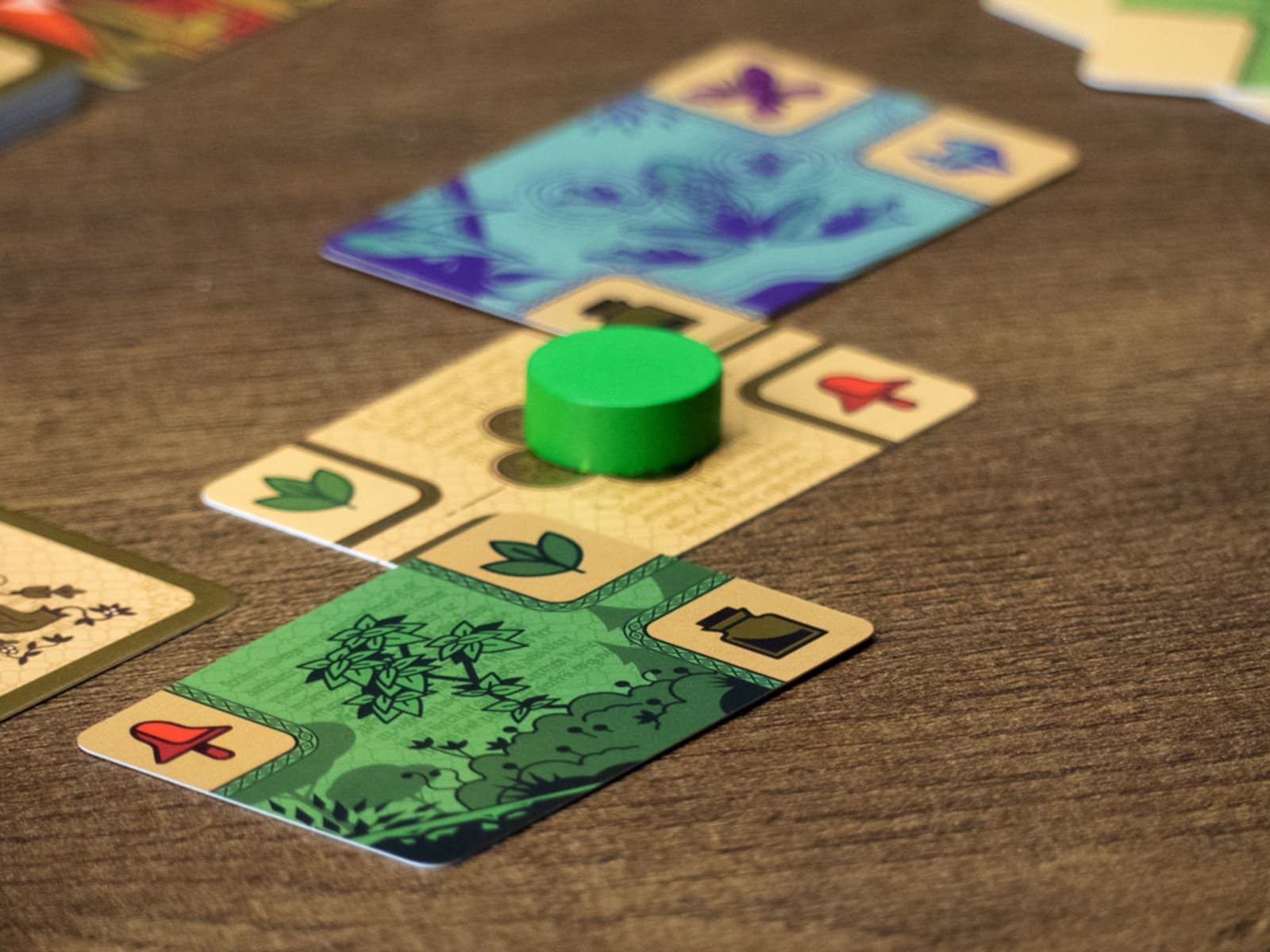 Codex - Juegos de mesa - Adani Store