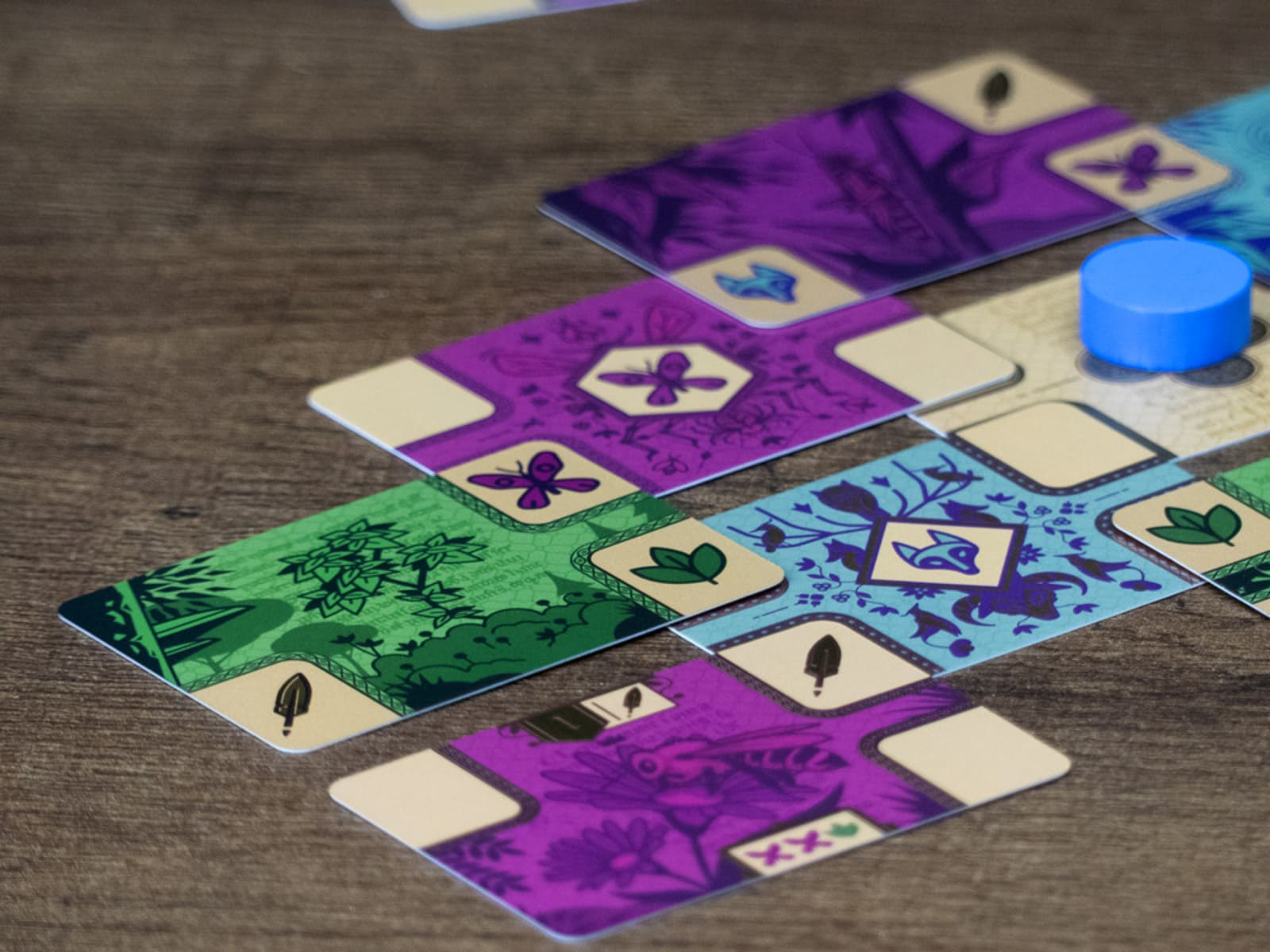 Codex - Juegos de mesa - Adani Store