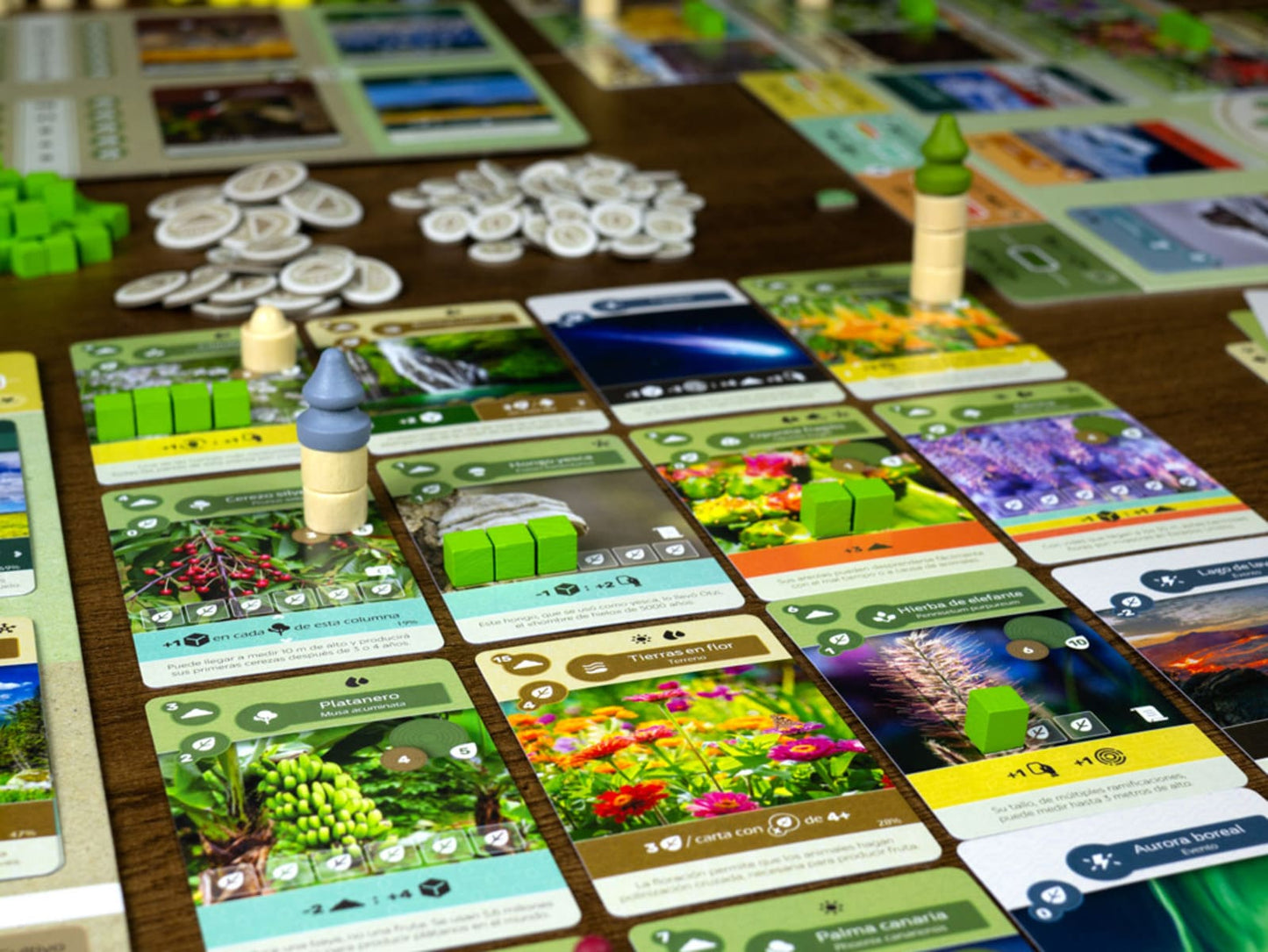 Earth - Juegos de mesa - Adani Store