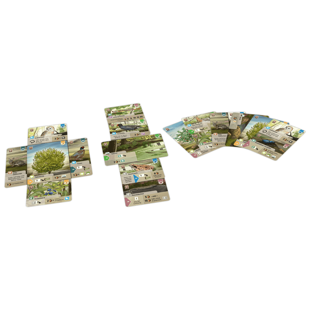 Forest Shuffle: Dartmoor - Juegos de mesa - Adani Store