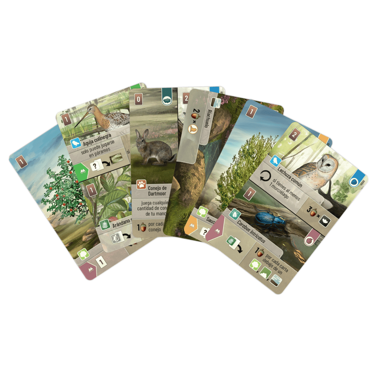 Forest Shuffle: Dartmoor - Juegos de mesa - Adani Store
