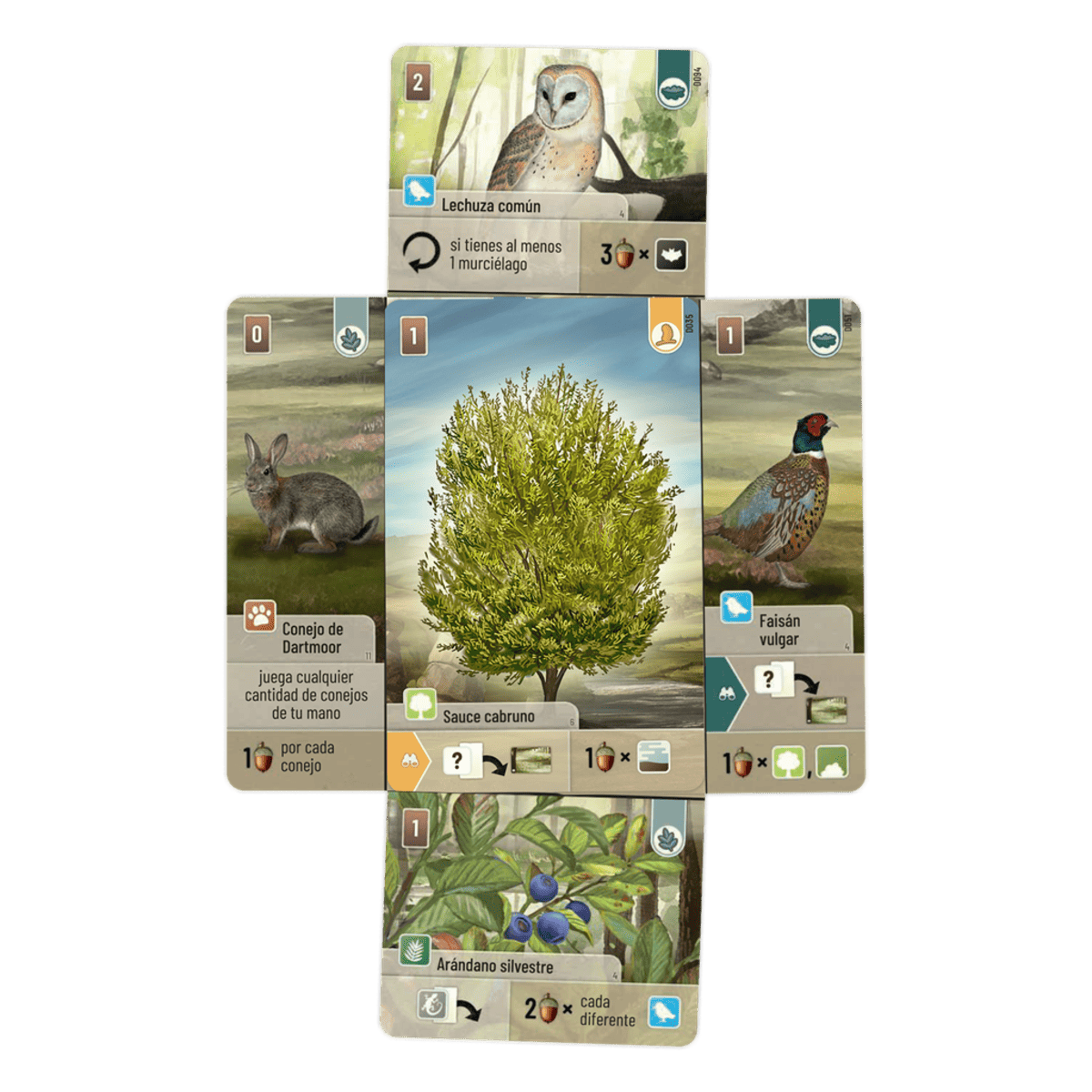 Forest Shuffle: Dartmoor - Juegos de mesa - Adani Store