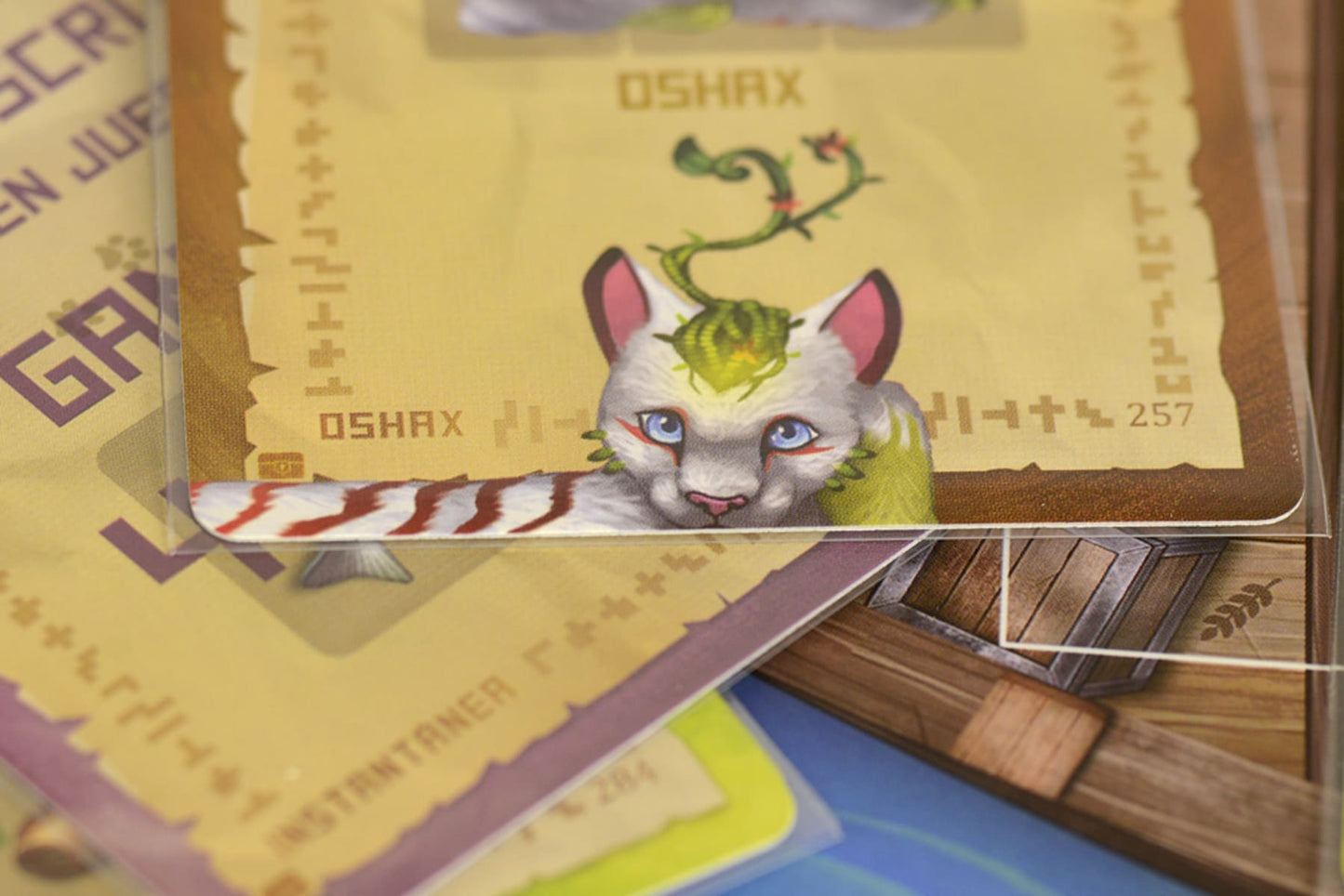 La Isla de los Gatos: Recién llegados - Juegos de mesa - Adani Store