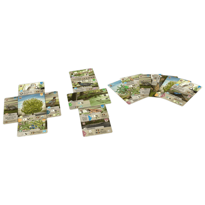 Forest Shuffle: Dartmoor