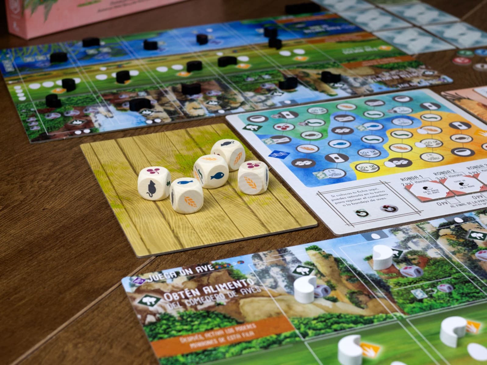 Wingspan Asia - Juegos de mesa - Adani Store